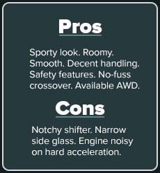 pros and cons