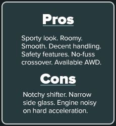 pros and cons
