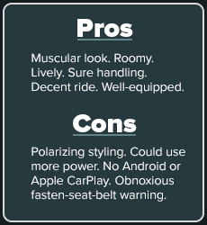 pros and cons